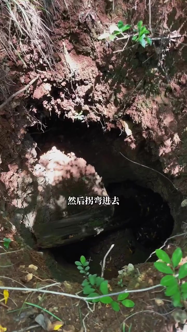 @逸明荒野探墓