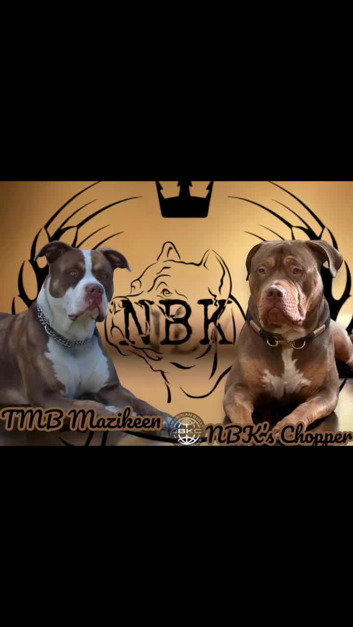 @NBK