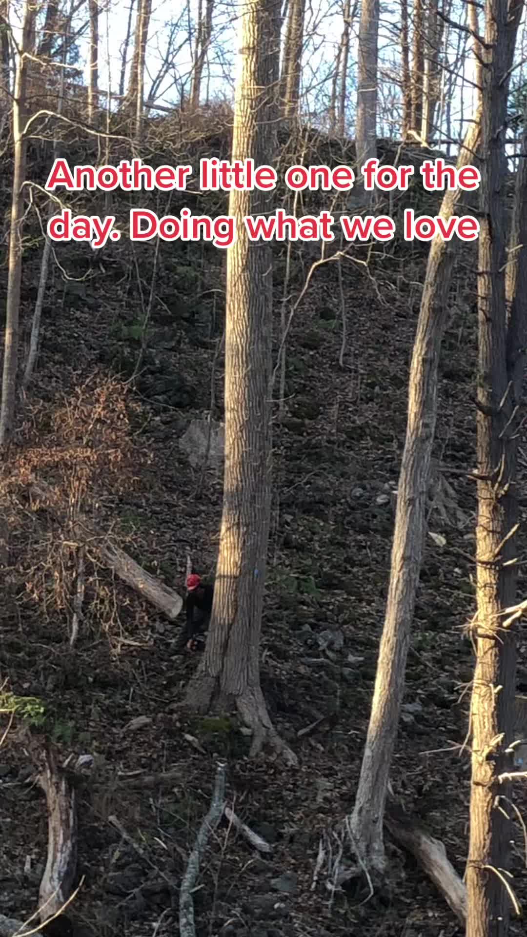 @jctlogging