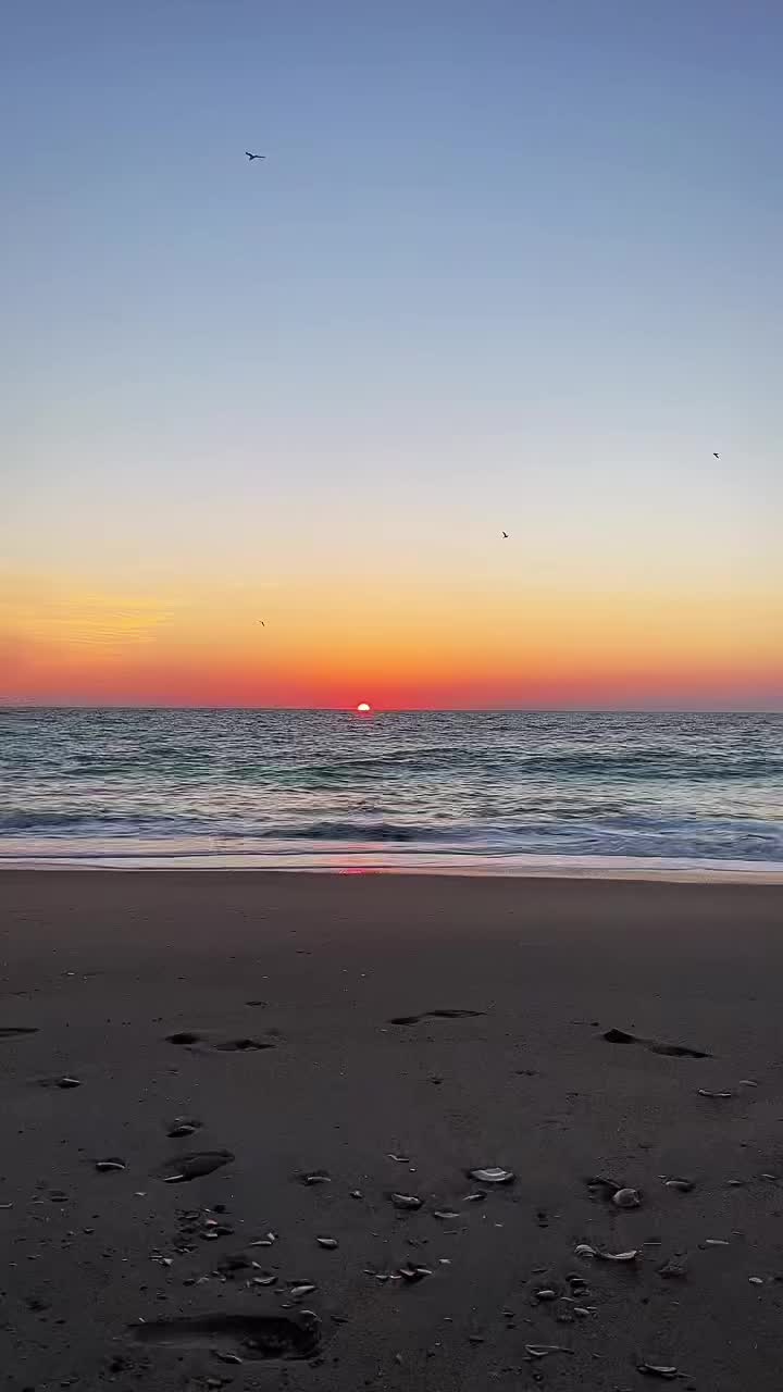 @BeachWavesTX