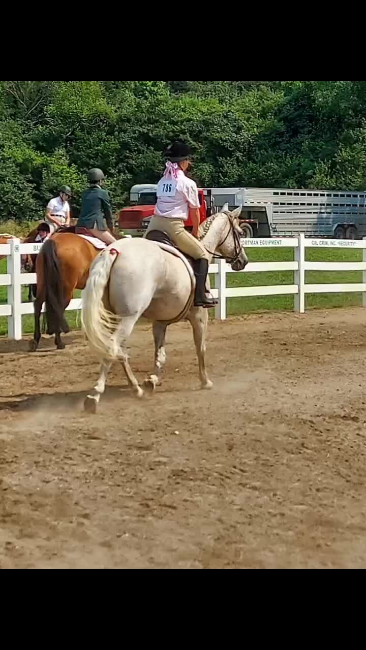 @horsie_rider