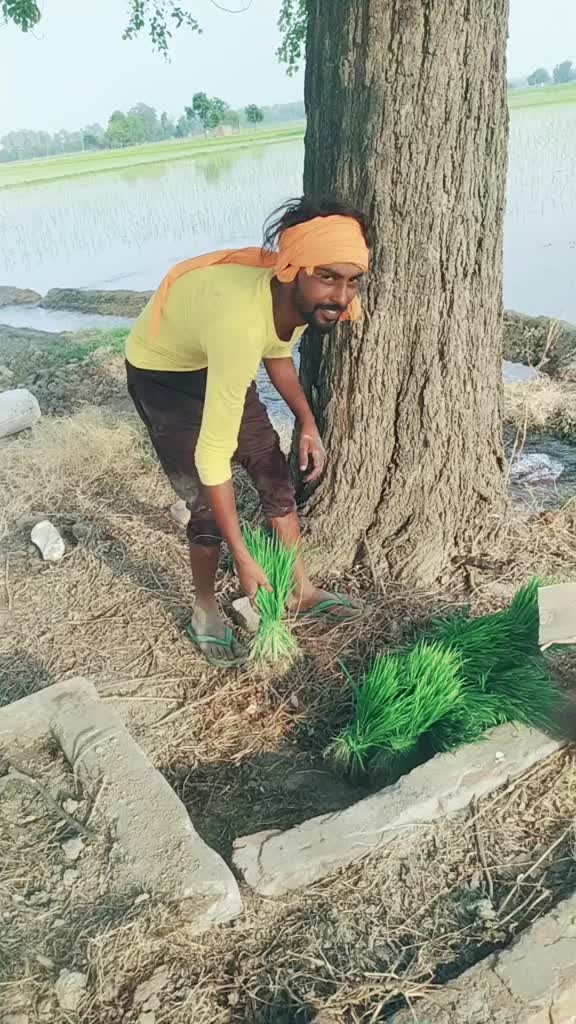 @ਸੱਤਾ ਧਮੋਟ