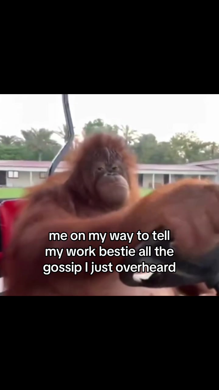 @Relatable Work Memes