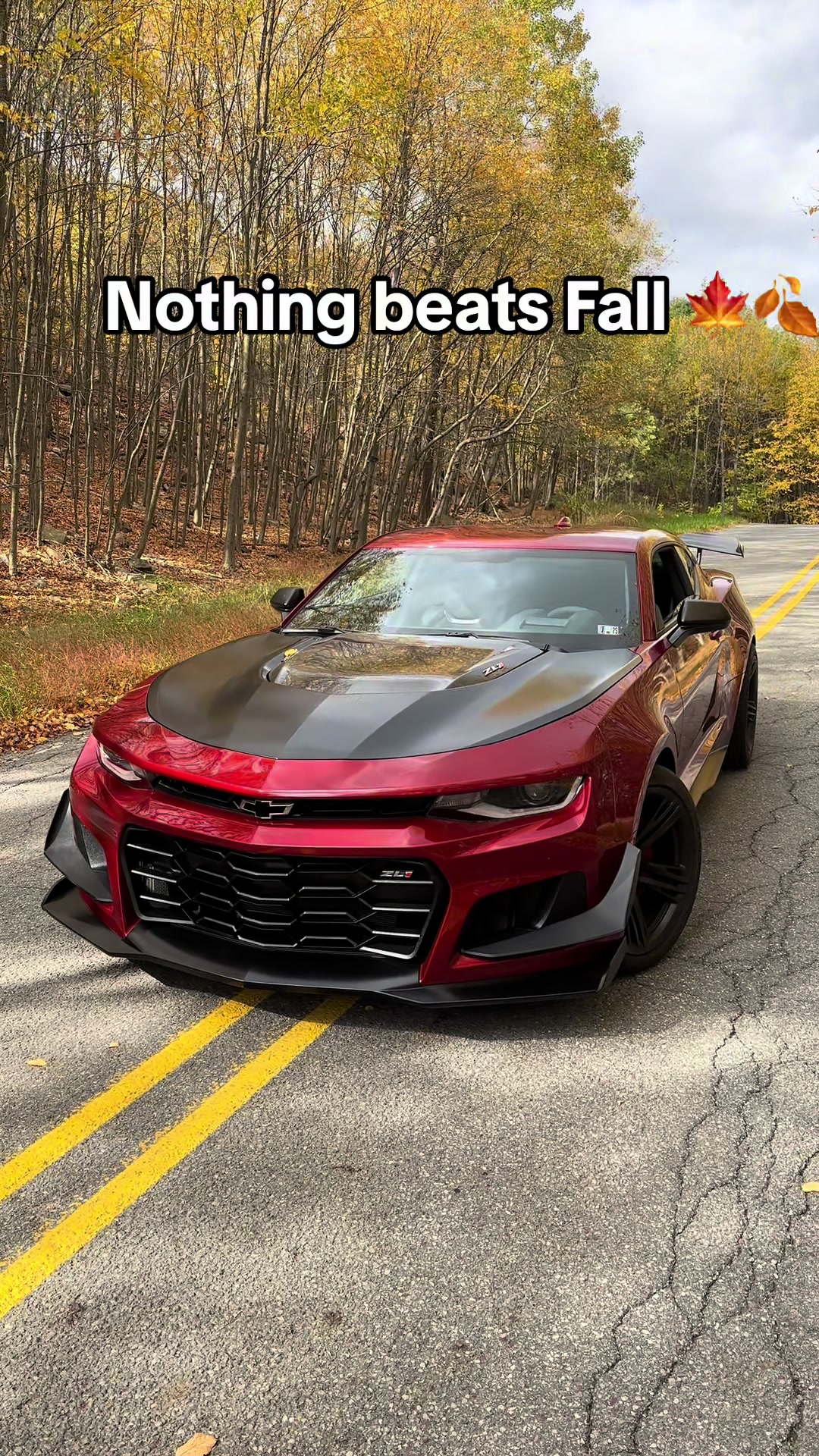 @VR ZL1