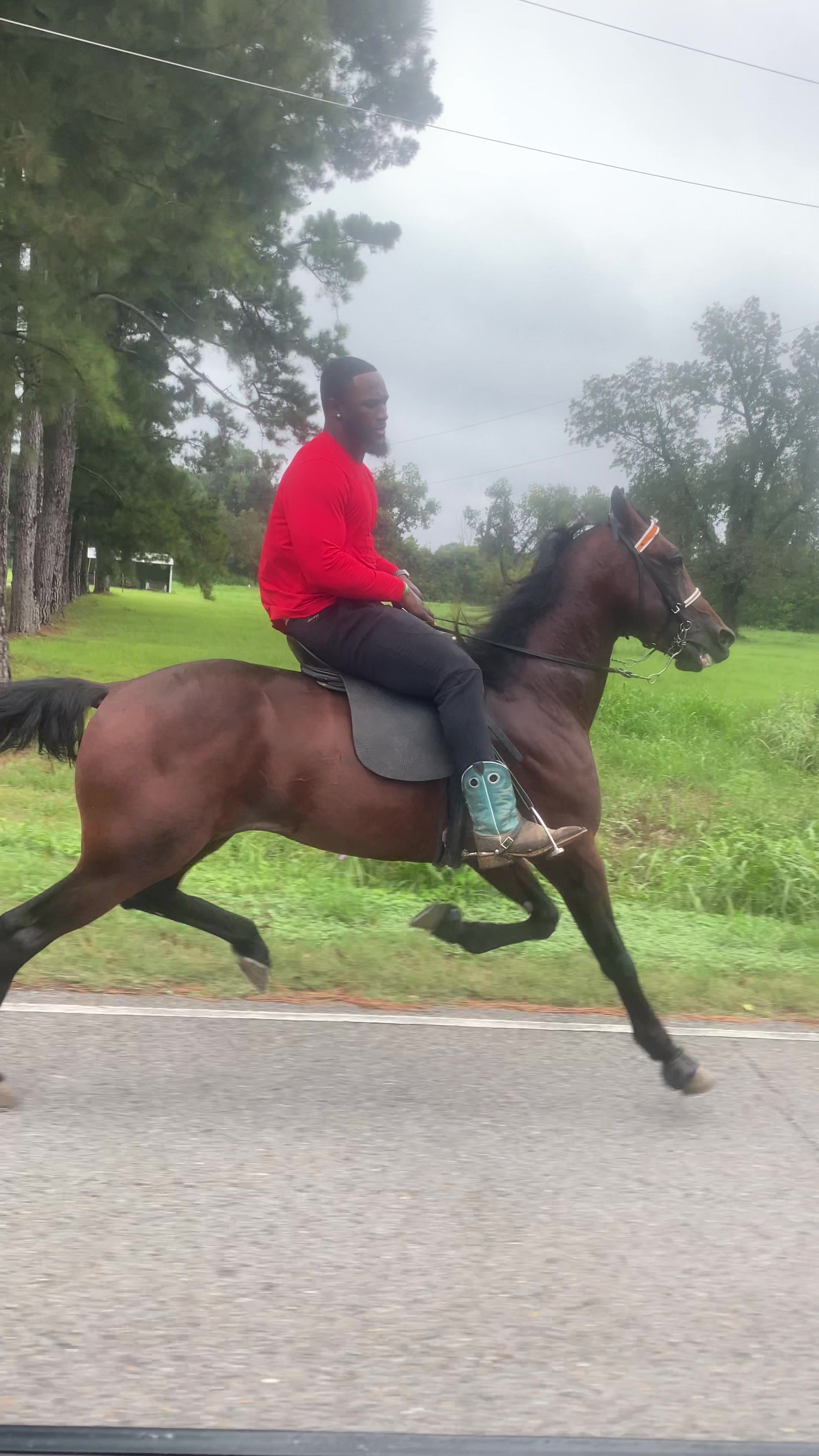 @Devin White ๐ GetLiveStables