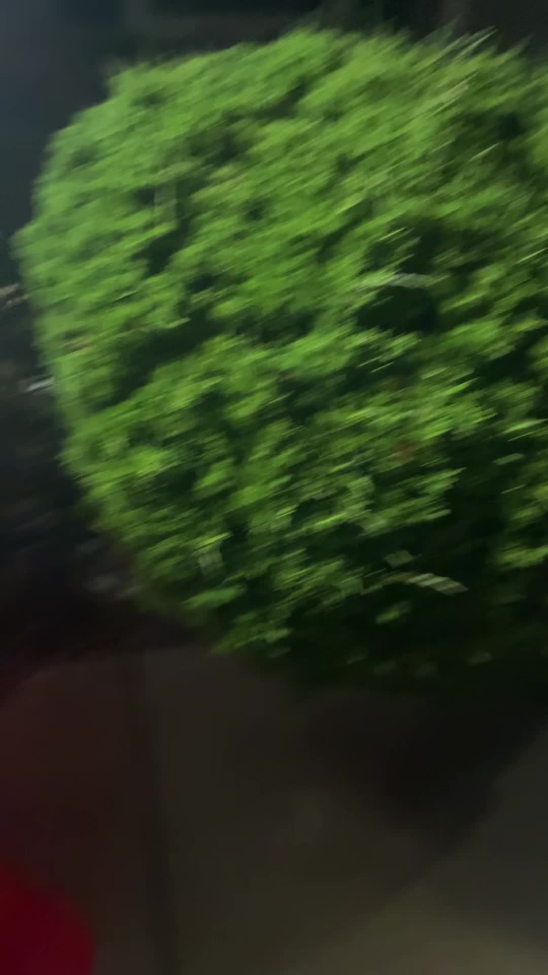@jaydon