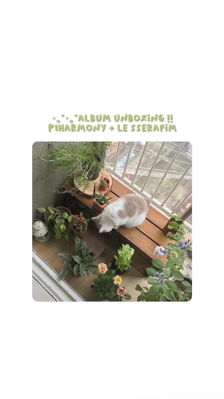 @🤍