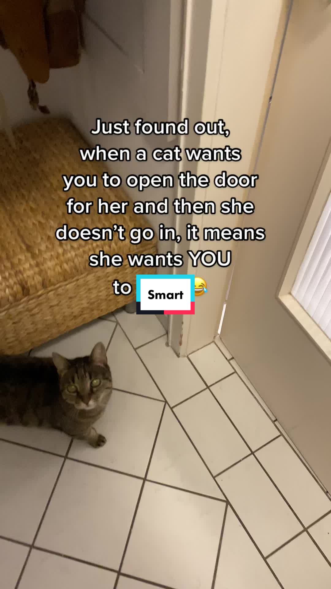 @Fibi & Bobo
