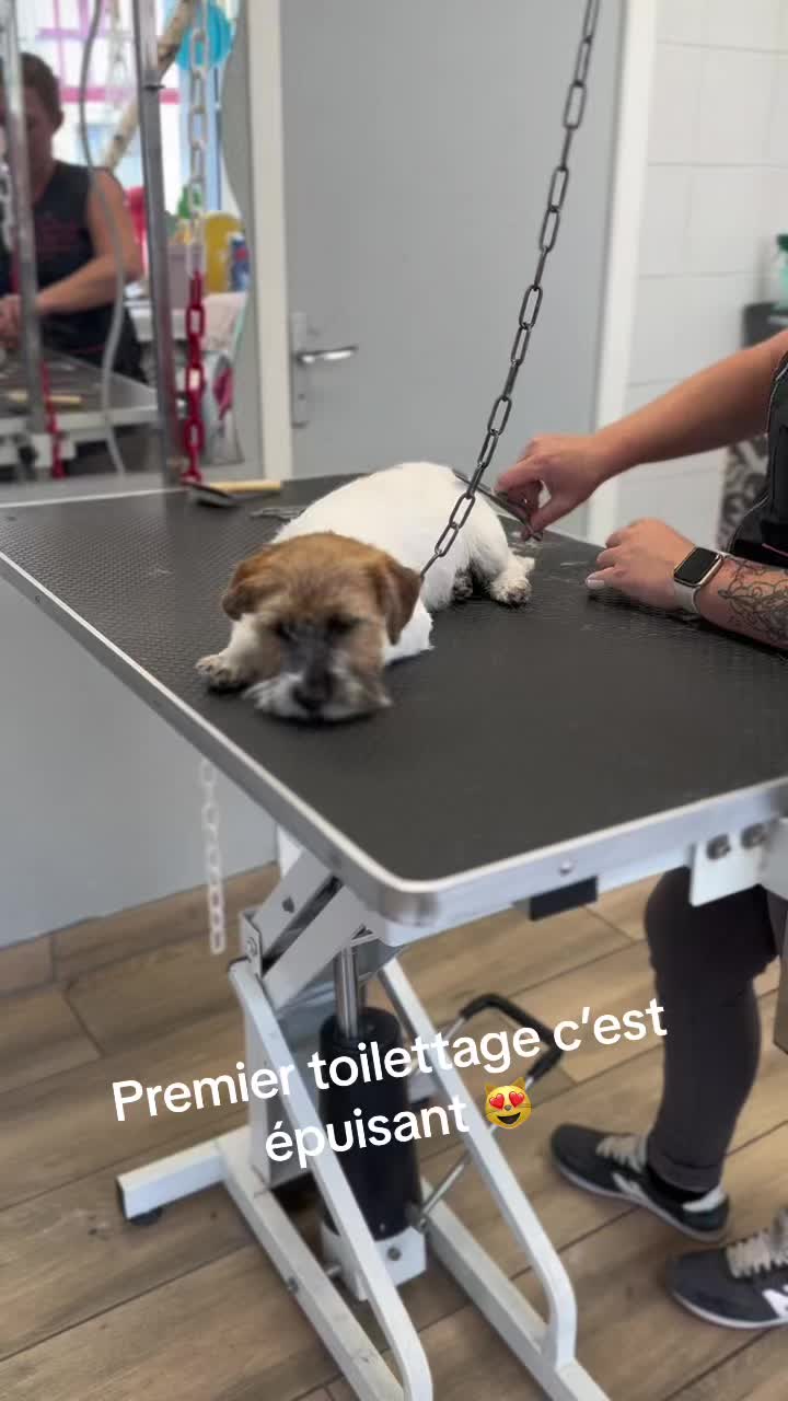 @Groomer ✃ 76