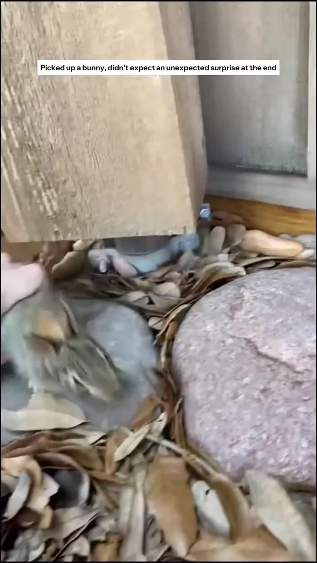 @Dynamic_rescue