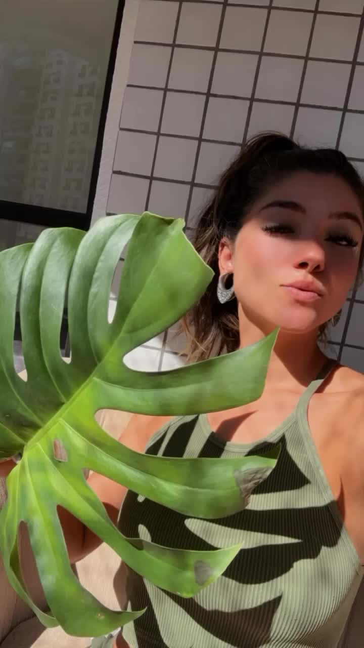 @Anniva
