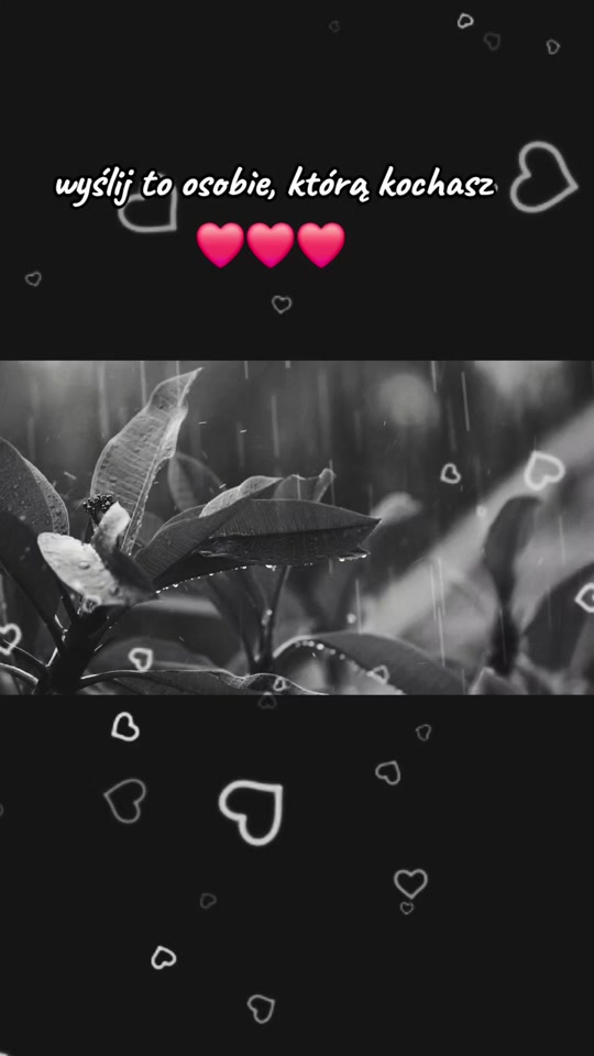 @🩶Angel_In_Light🩶