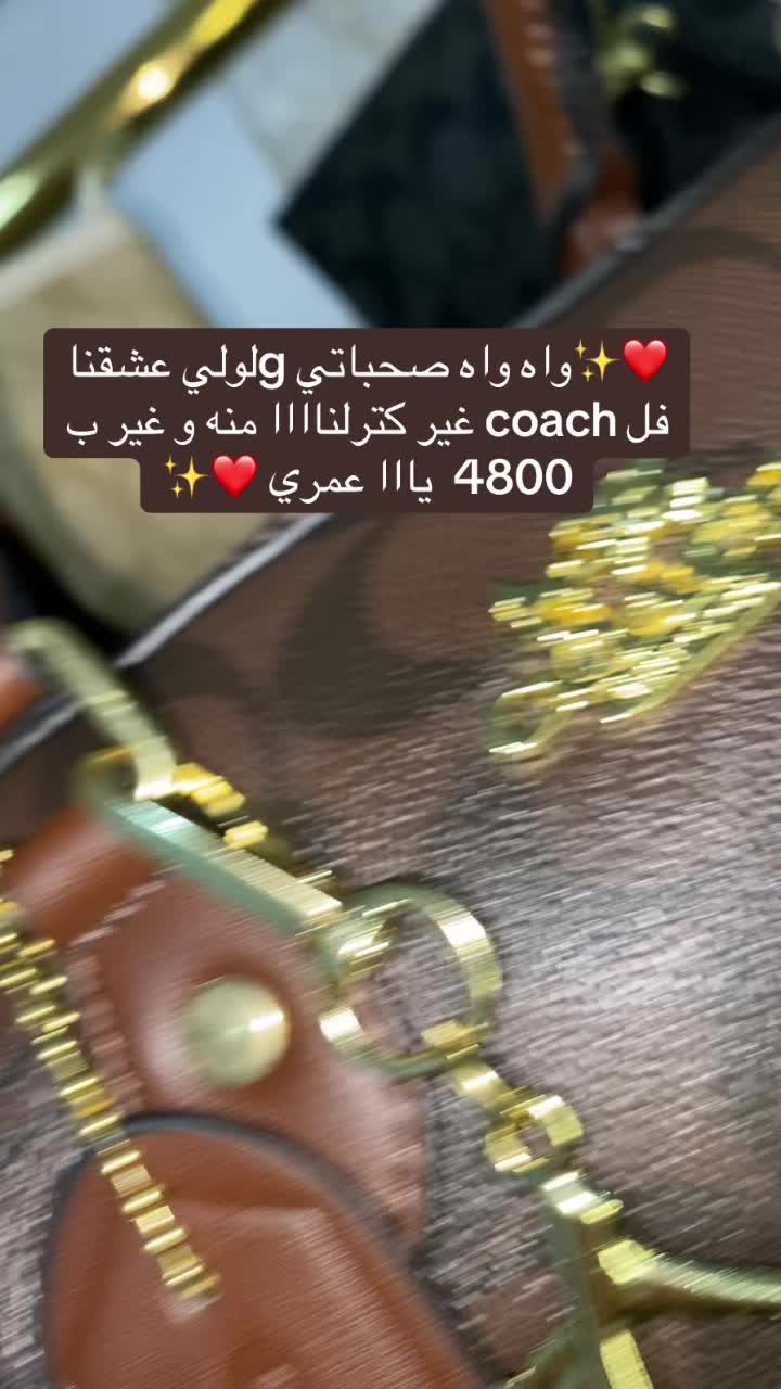 @✨Lilyan bag✨