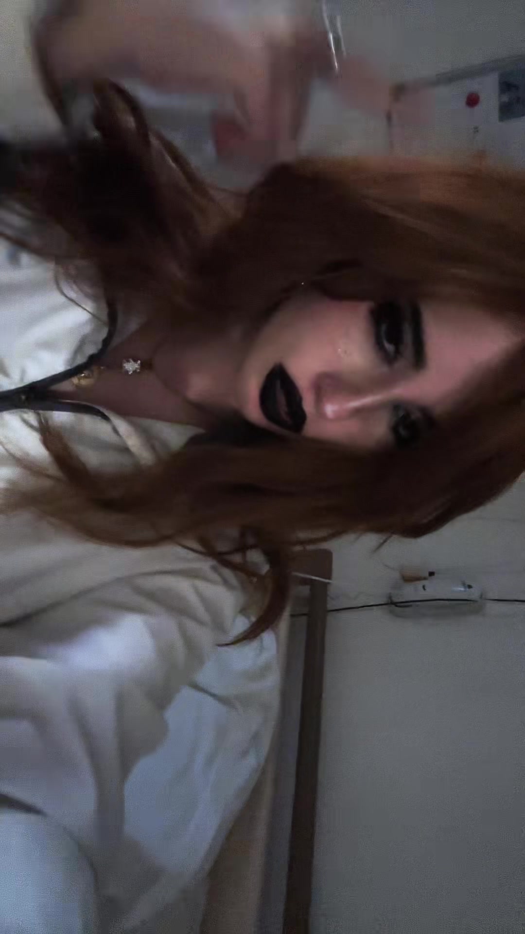@chatdinosaure