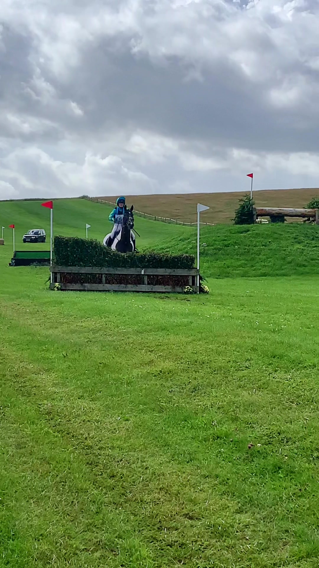 @ZB Equestrian