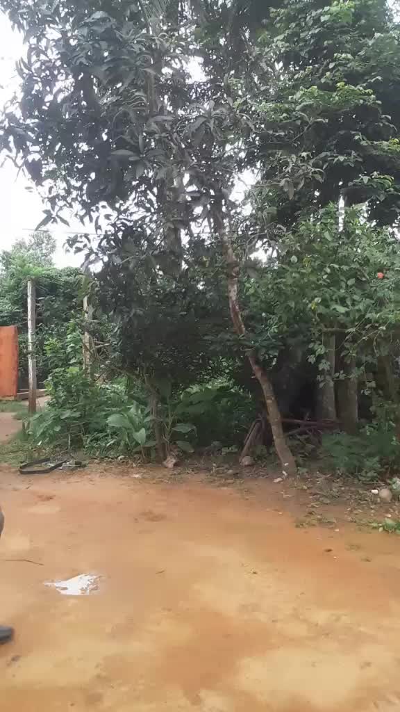 @Mintu Kar