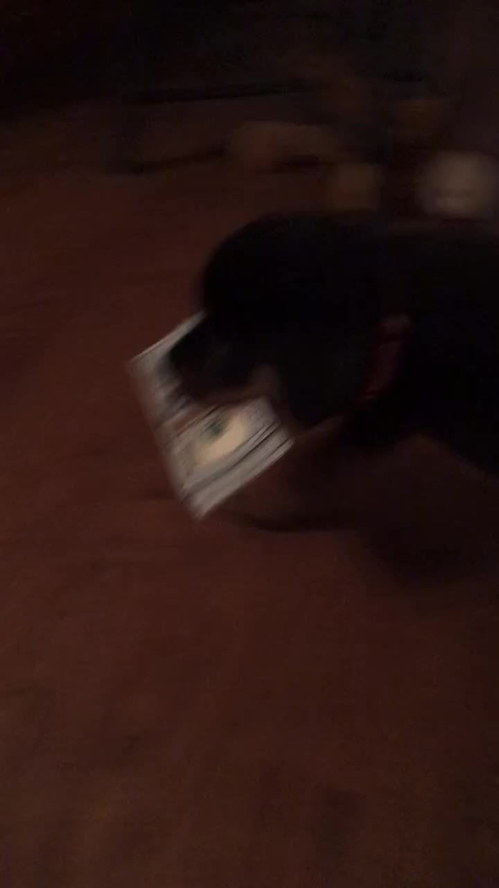 @Tuckerpuppy