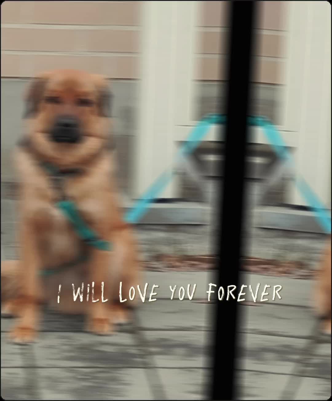 @Heidi