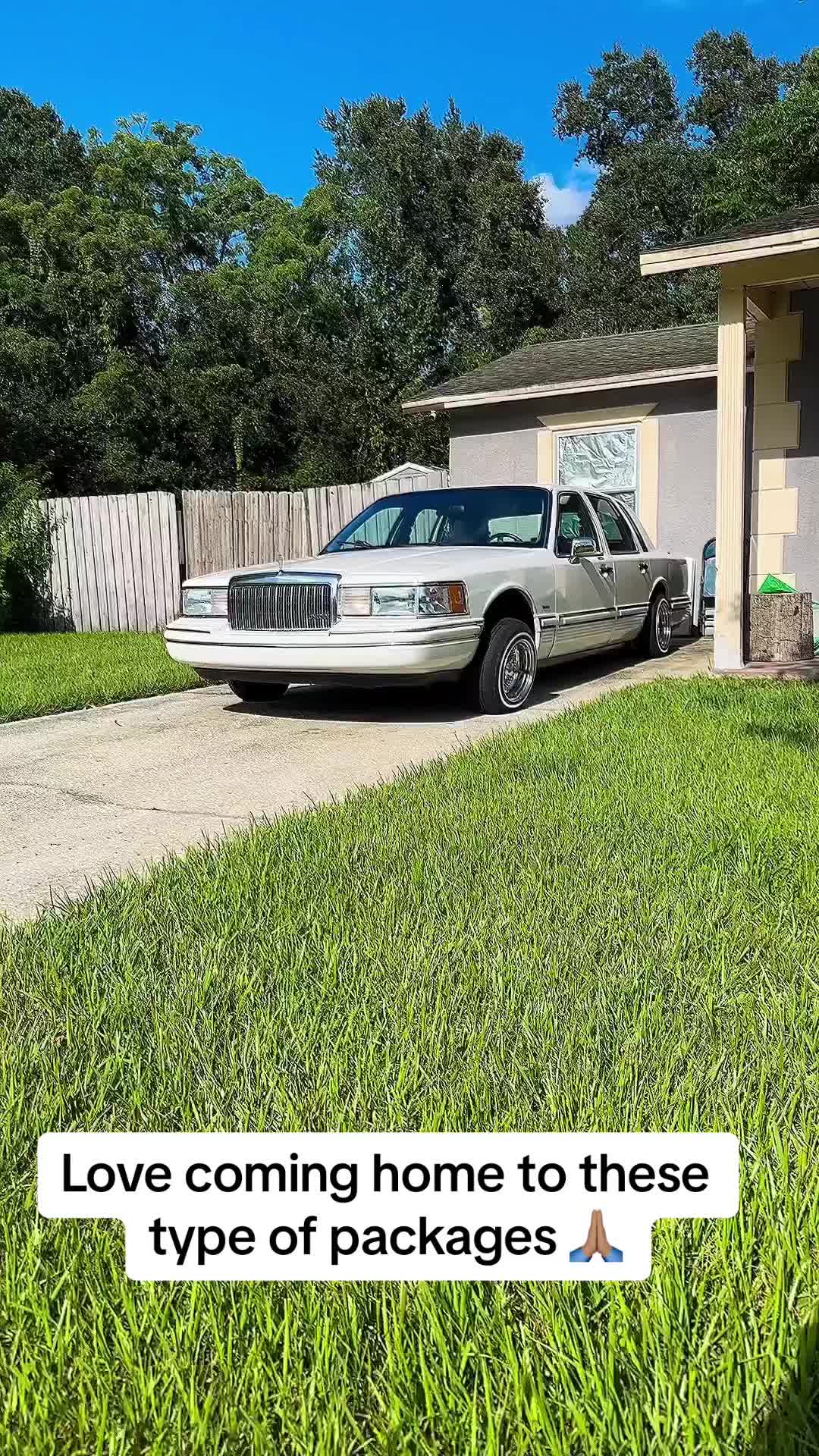 @1995dogmoney