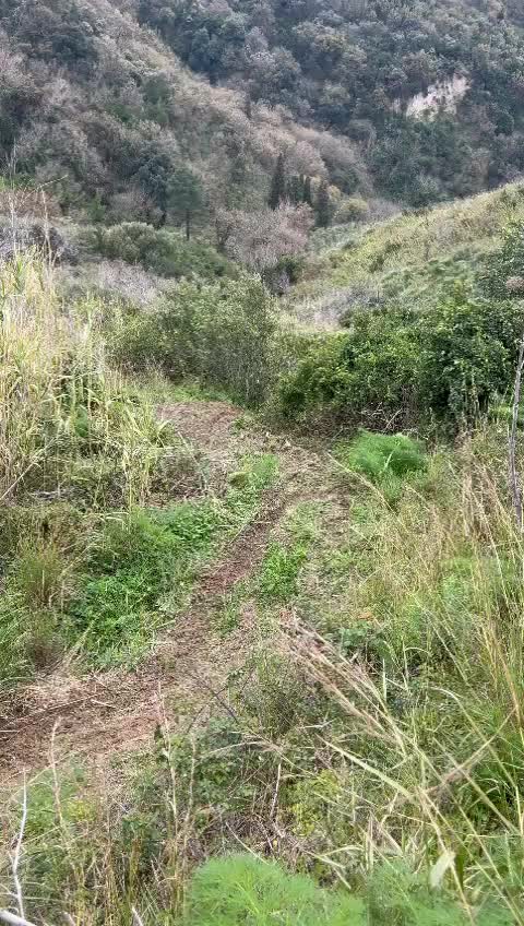 @Melo-Melino-Meluccio