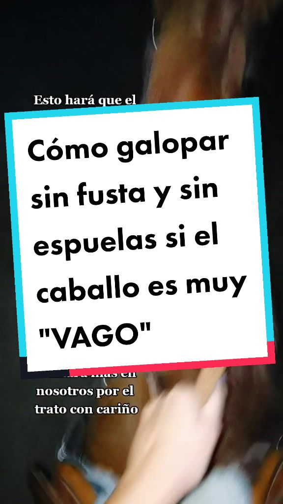 @LA CHICA DEL PONY🐴🌼