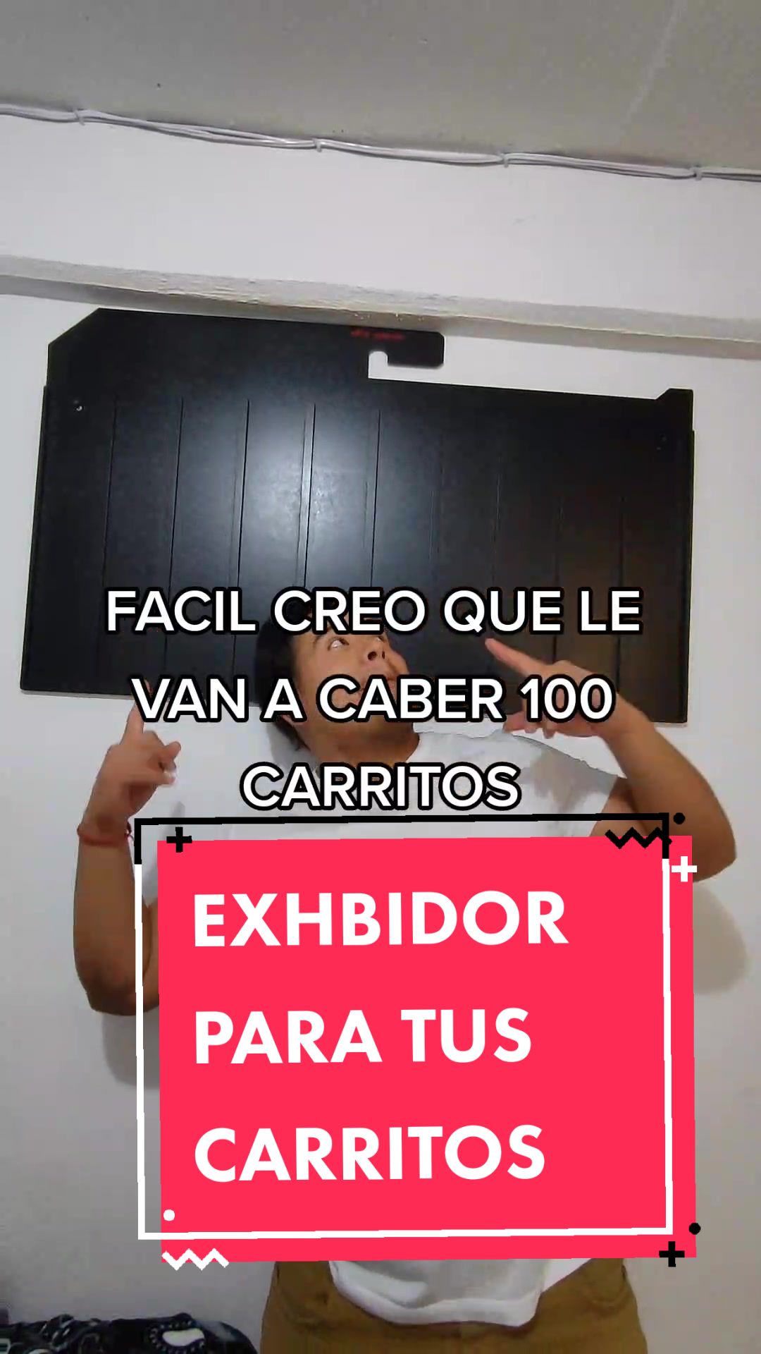 @DardoCollector