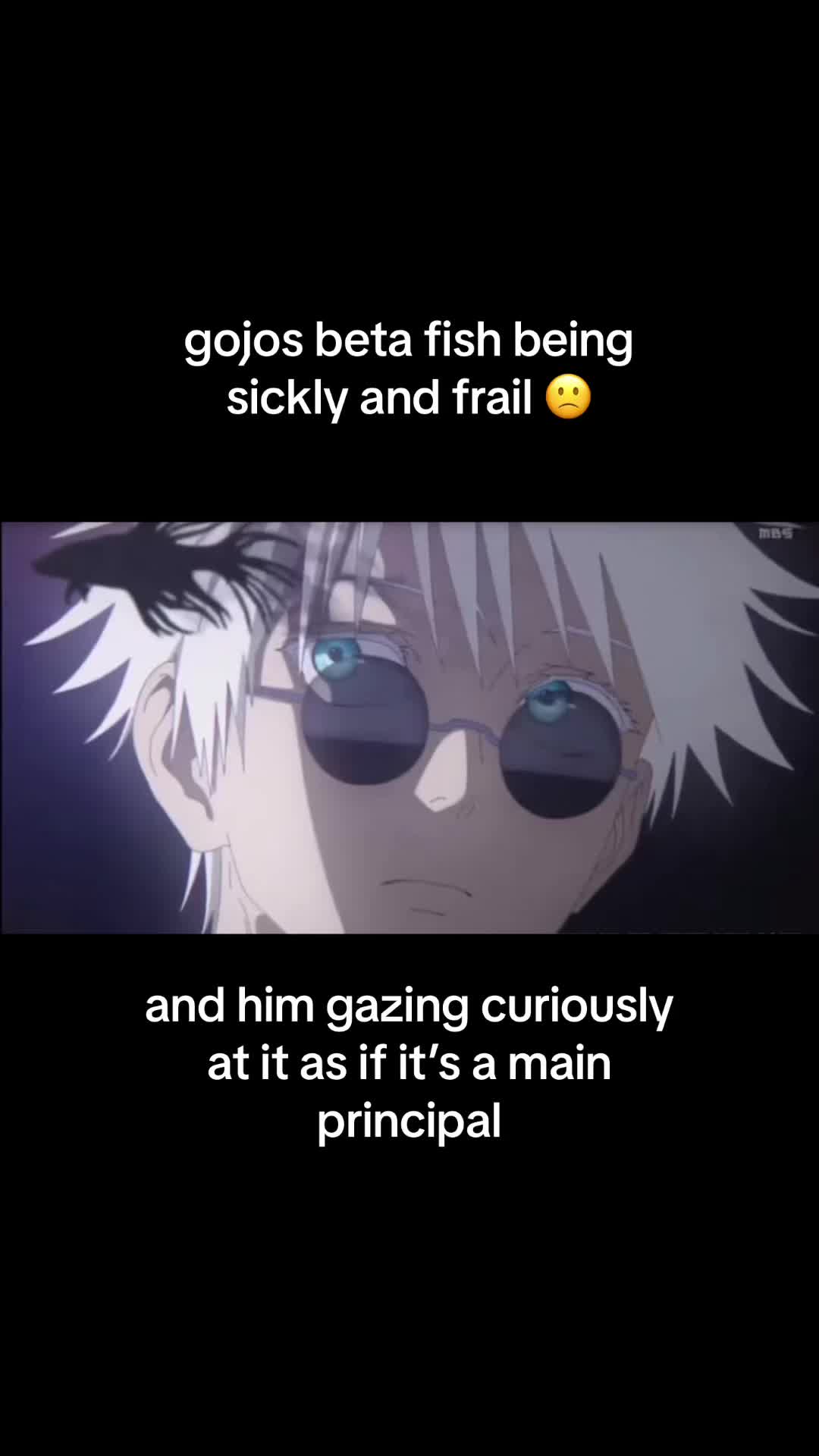 @ren ☆
