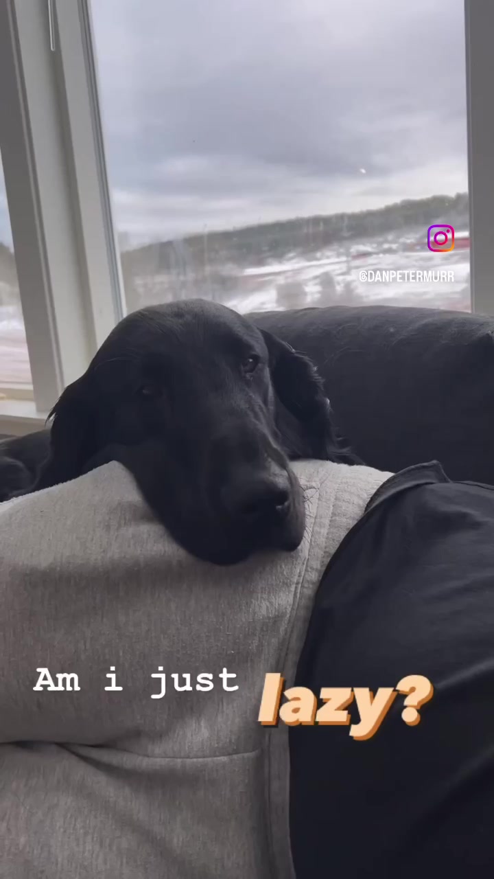 @Anette og Dan Murr