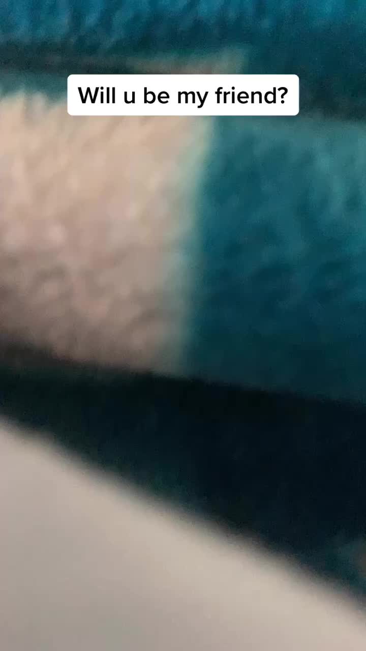 @Spike