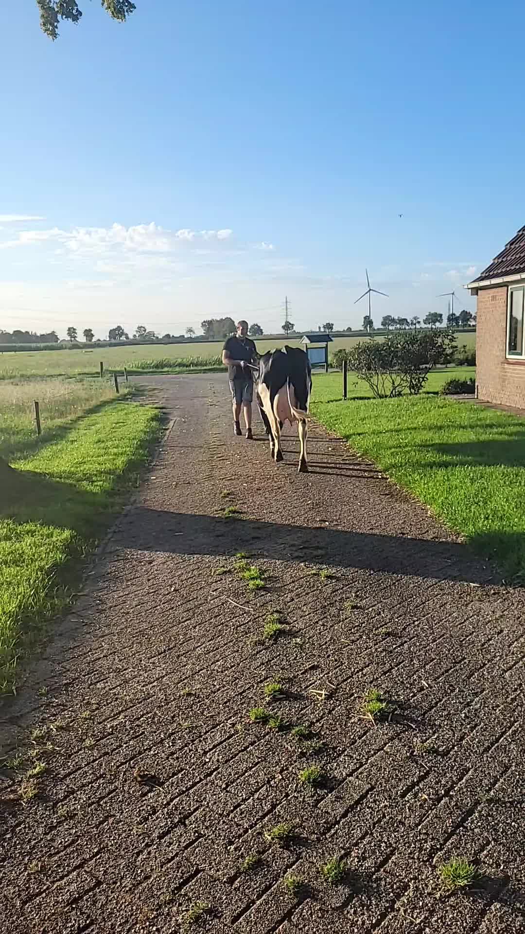 @Linda Koersen