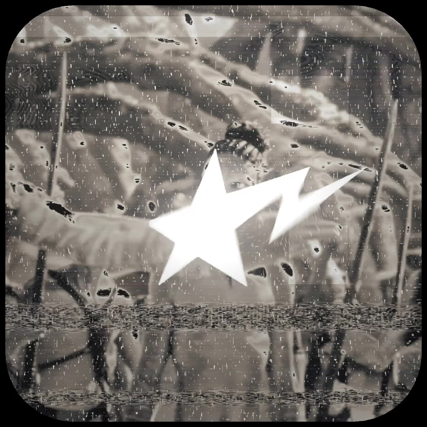 @Vsp9ully ® ꕥ