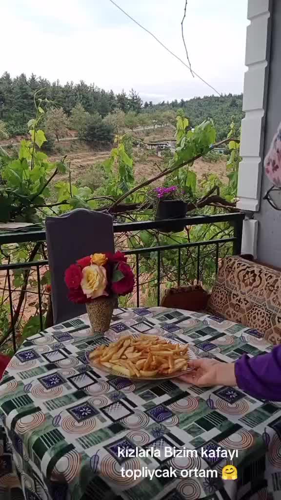 @hanifemalim