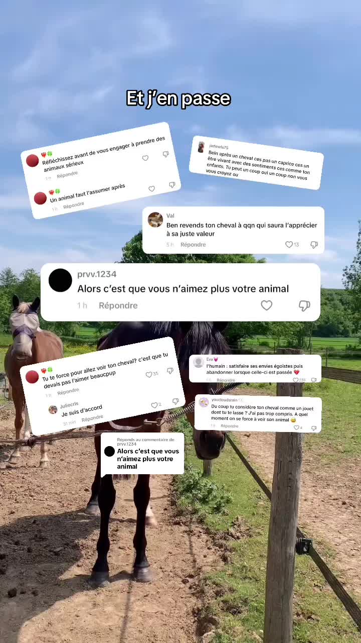 @G r a n d e A v e n t u r e