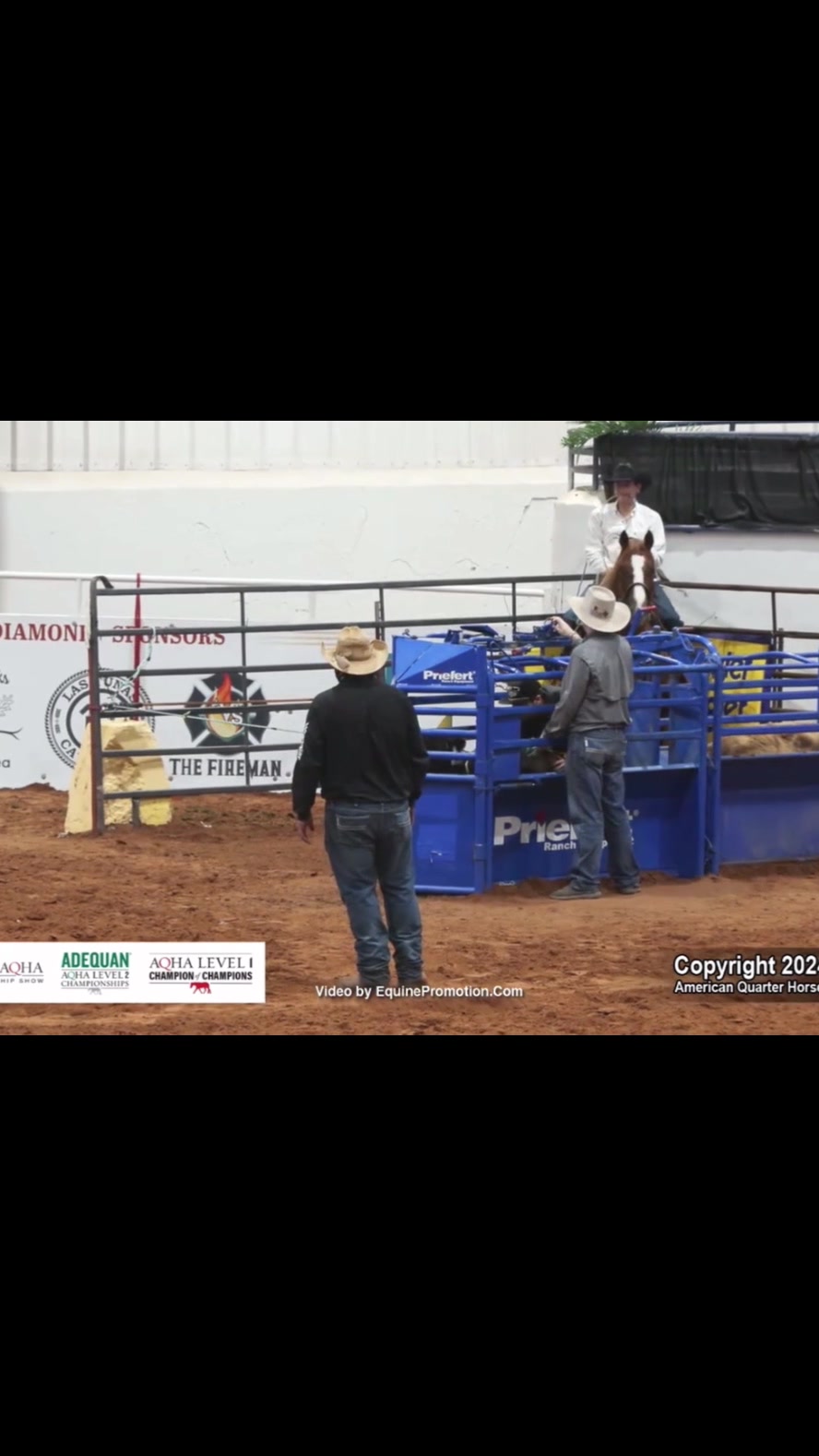 @HD Performance Horses