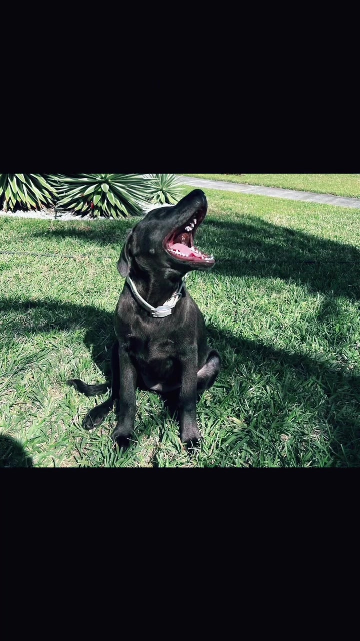 @Pompack
