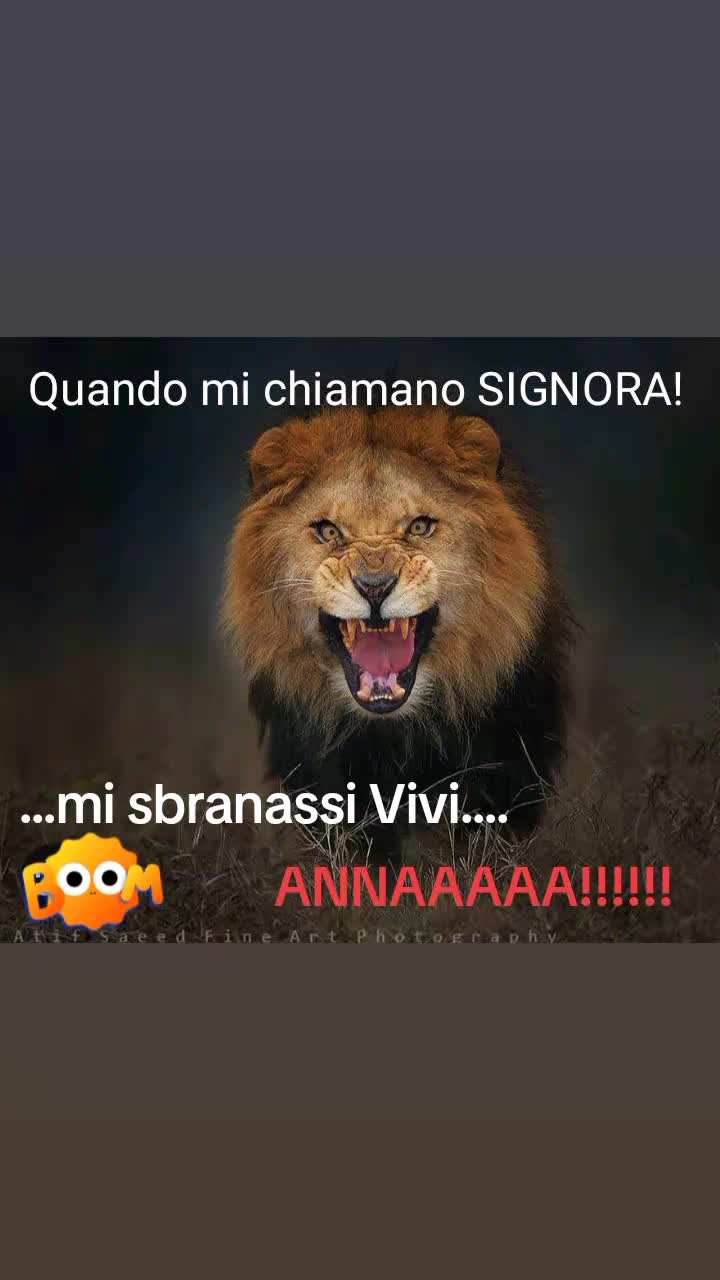 @Anna Rametta (💪🦁)