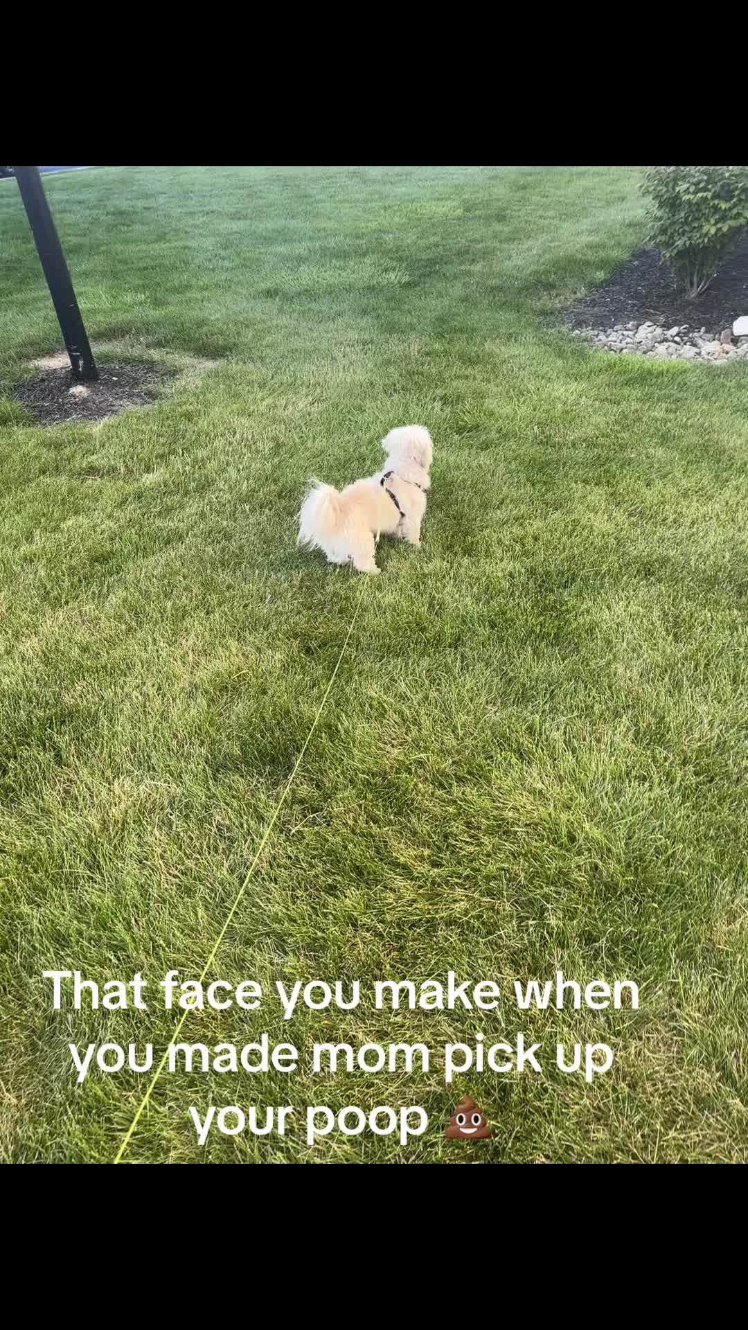 @Thor&rsquo;s_adventures