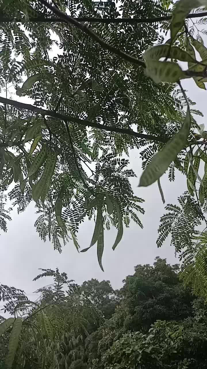 @R4is_saputro