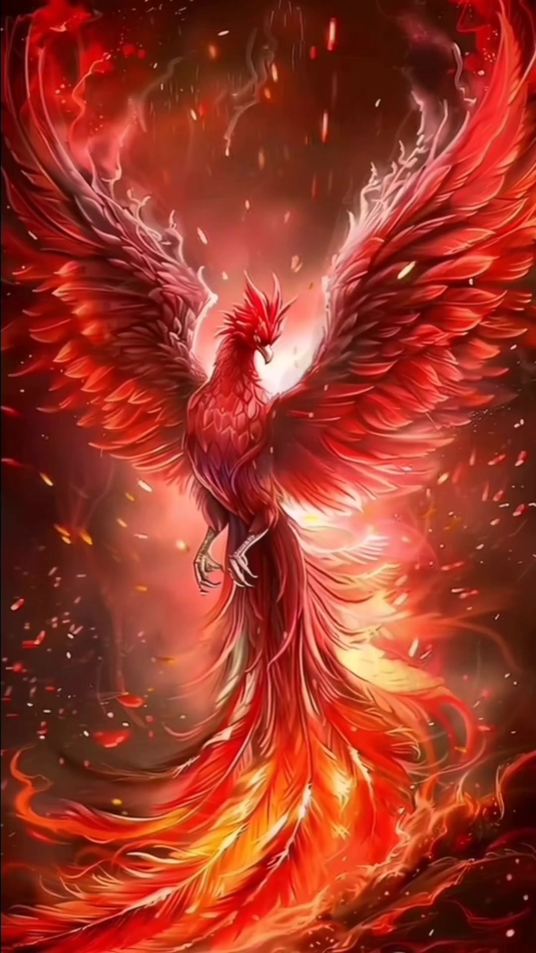 @🌹