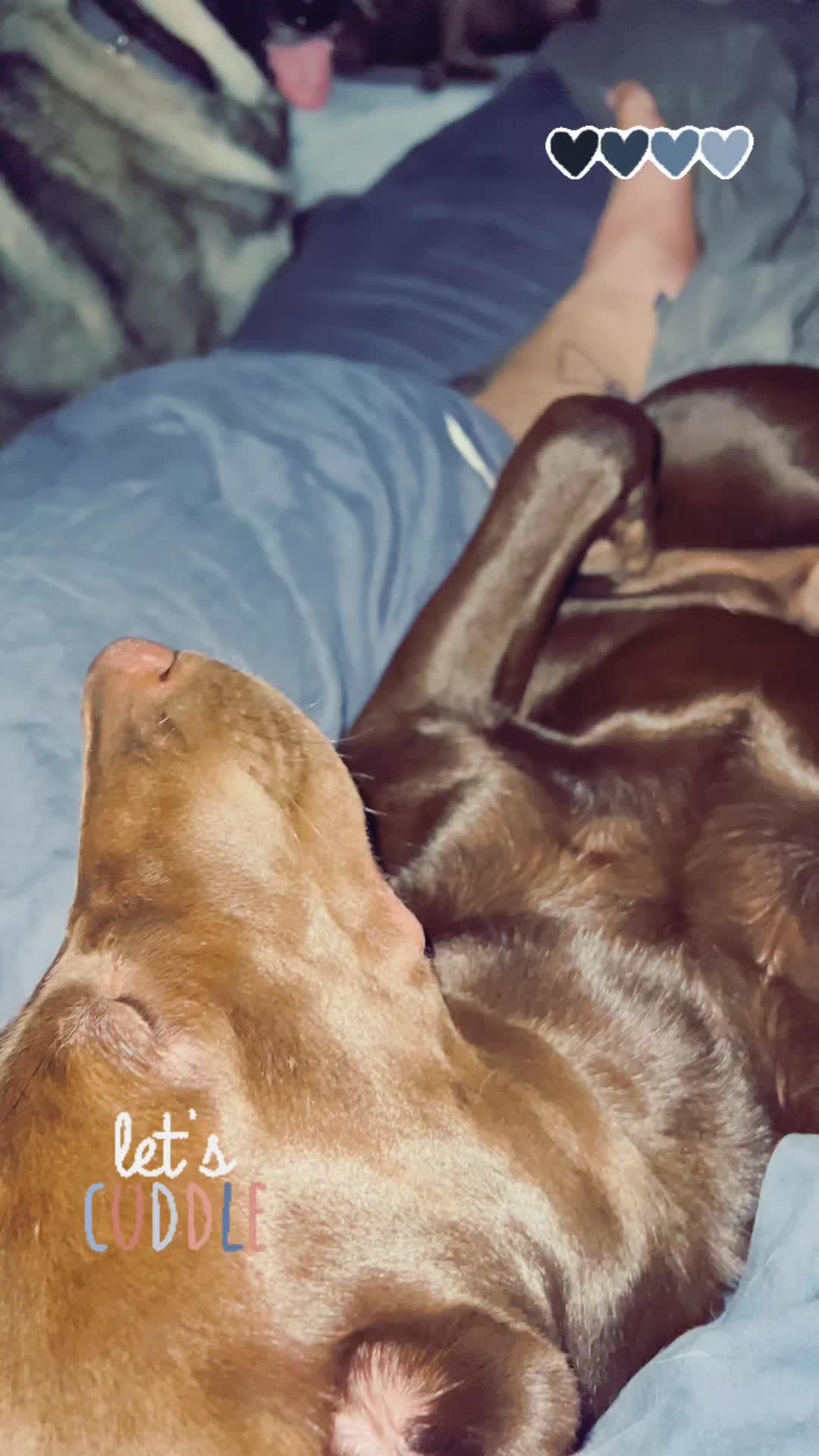 @Pompack