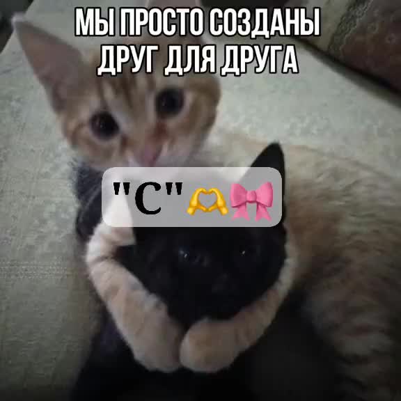 @2rbina2rista