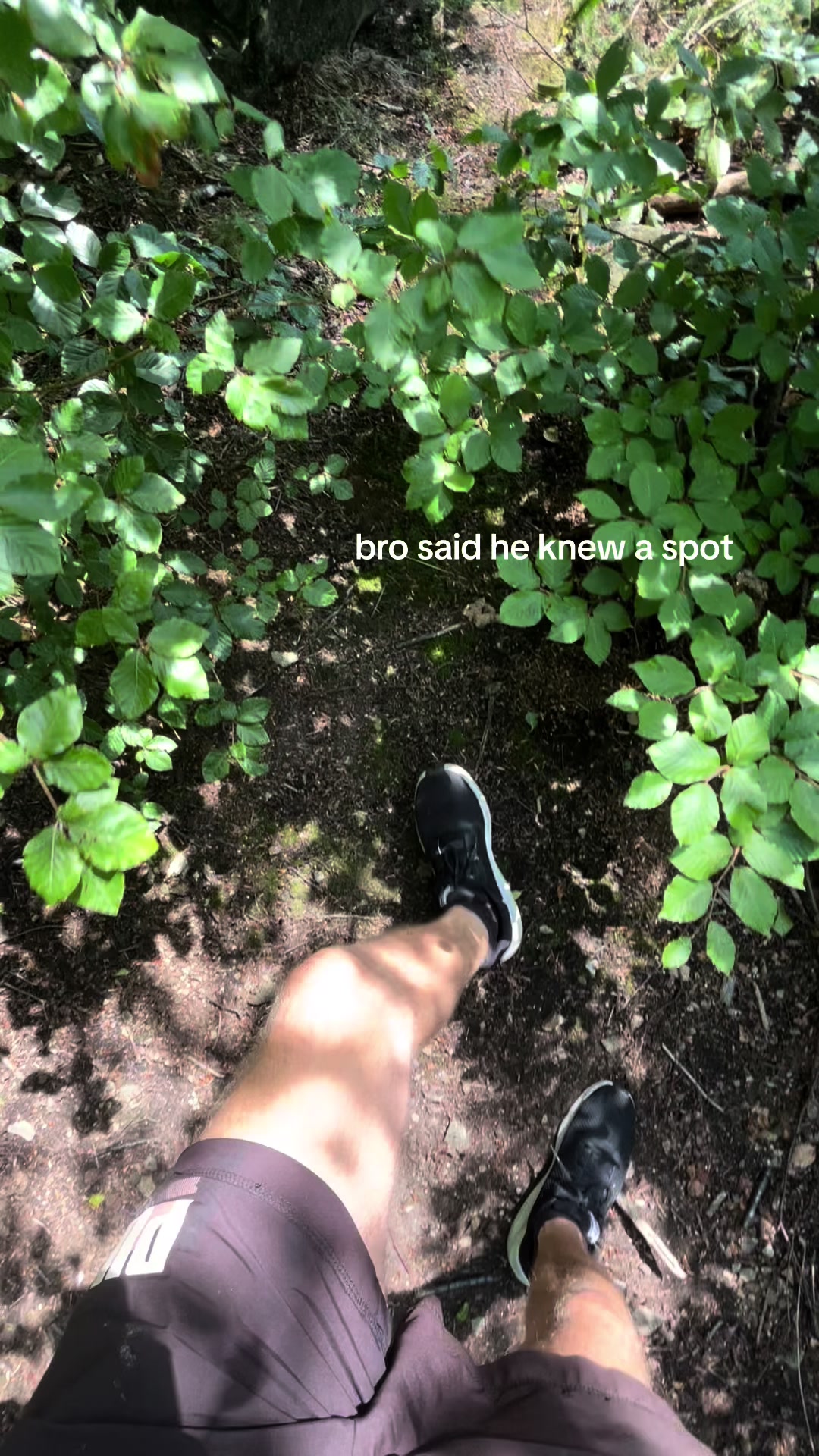 @Dejf
