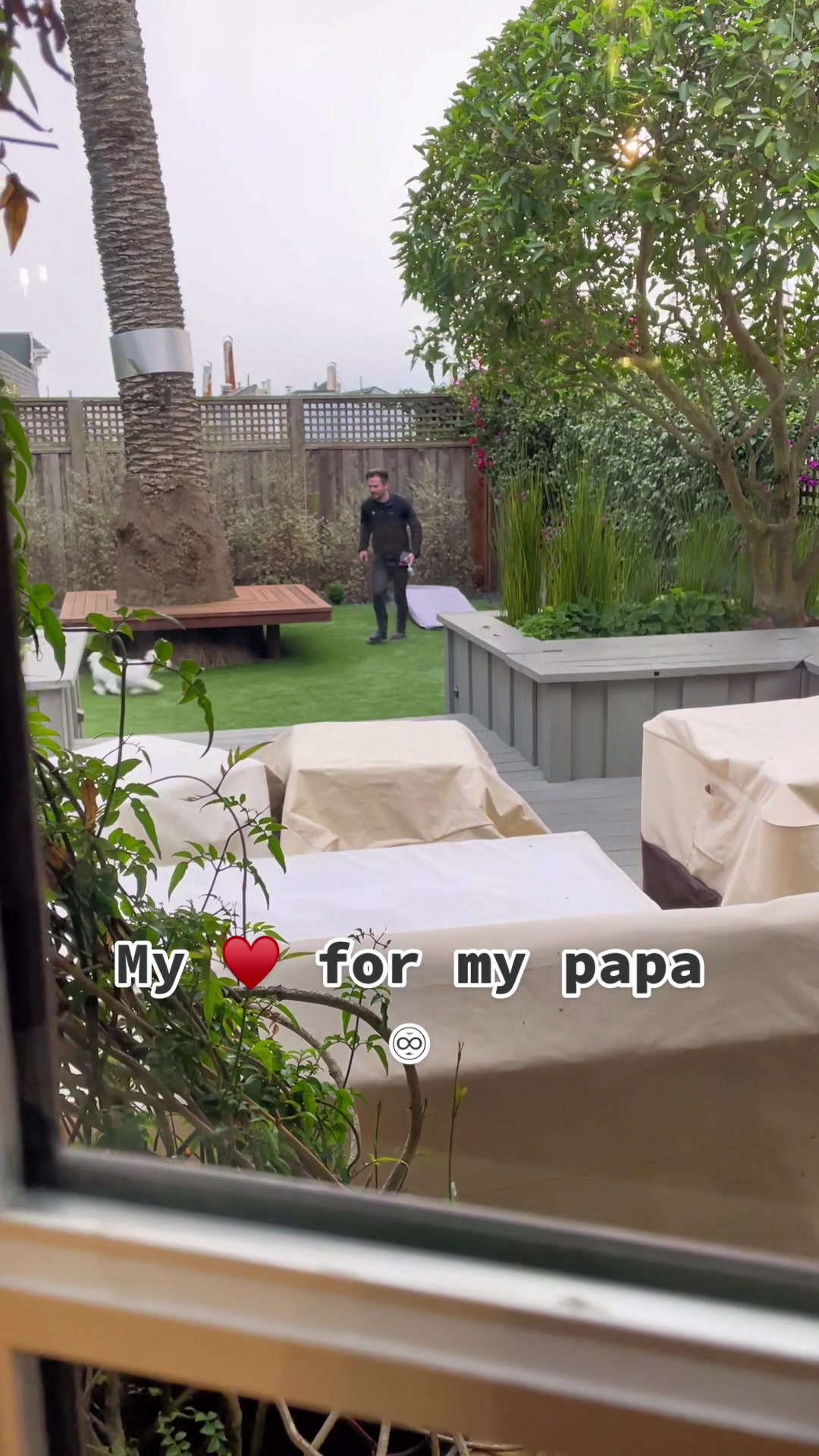 @Cloud the Dog