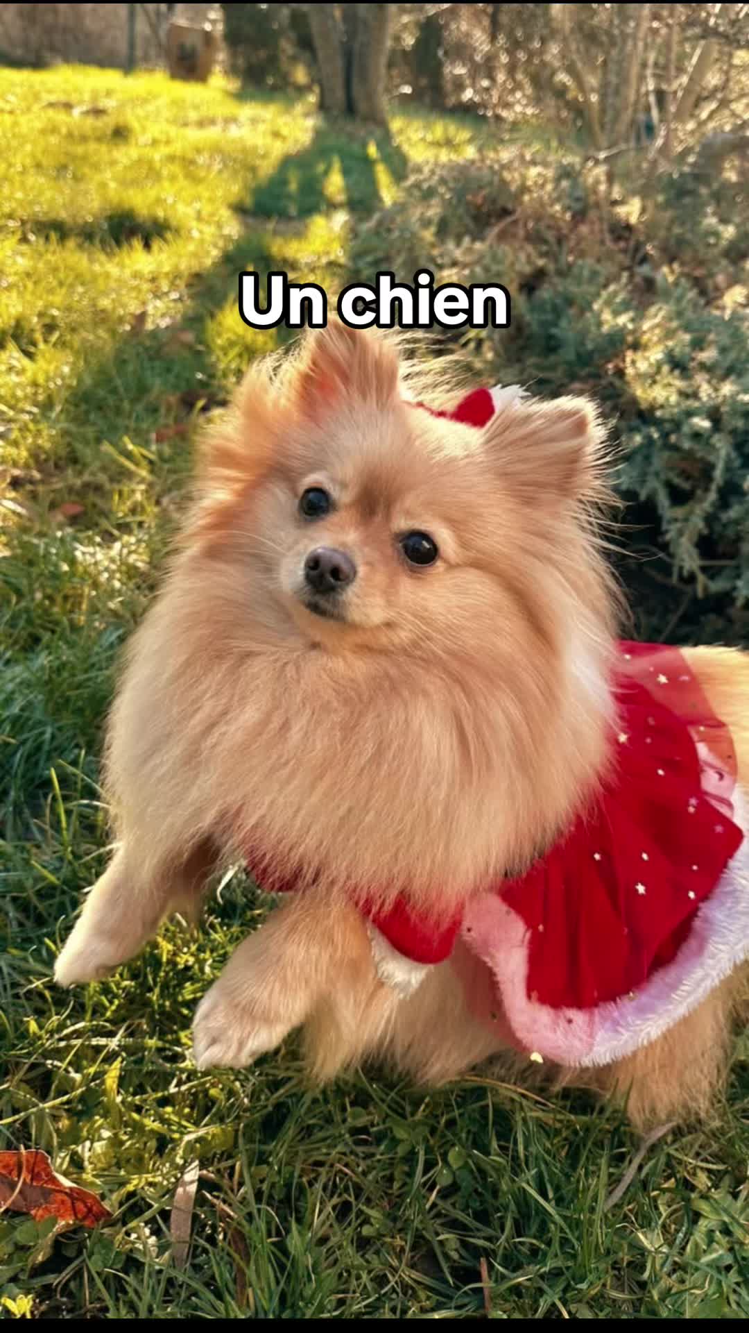 @𝐿𝑒́𝓃𝒶 ᥫ᭡