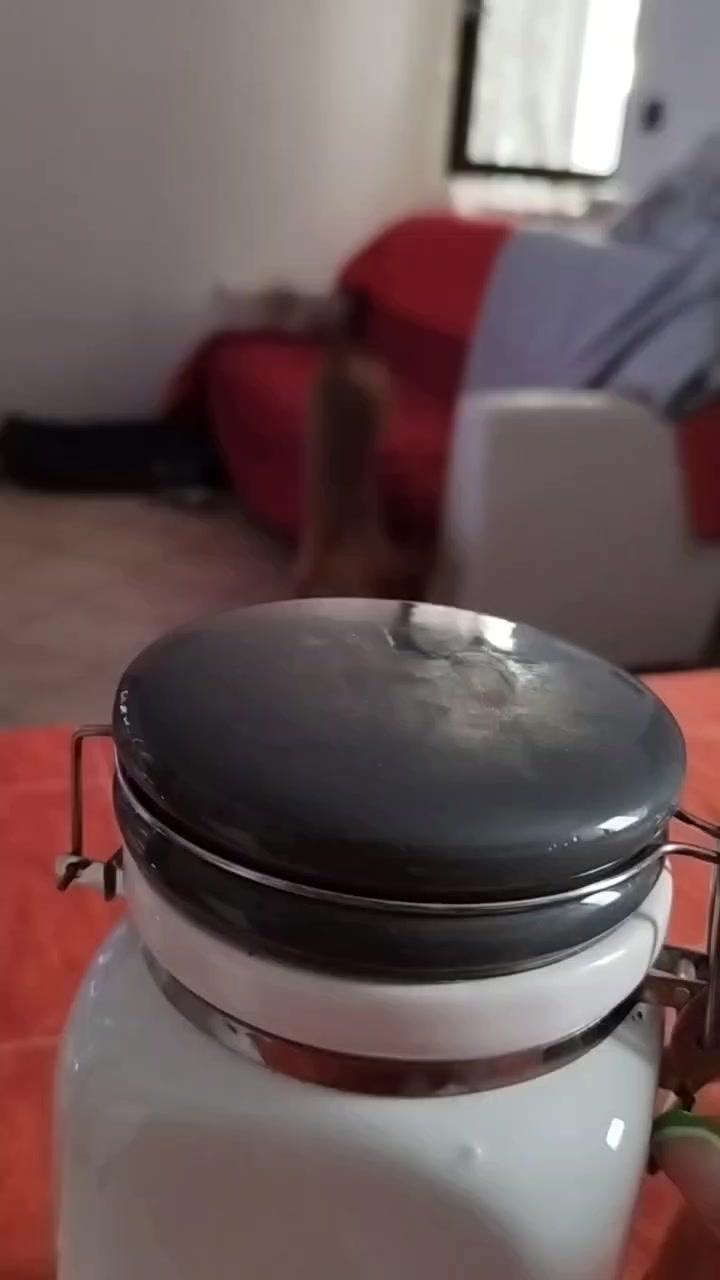@Giorgia