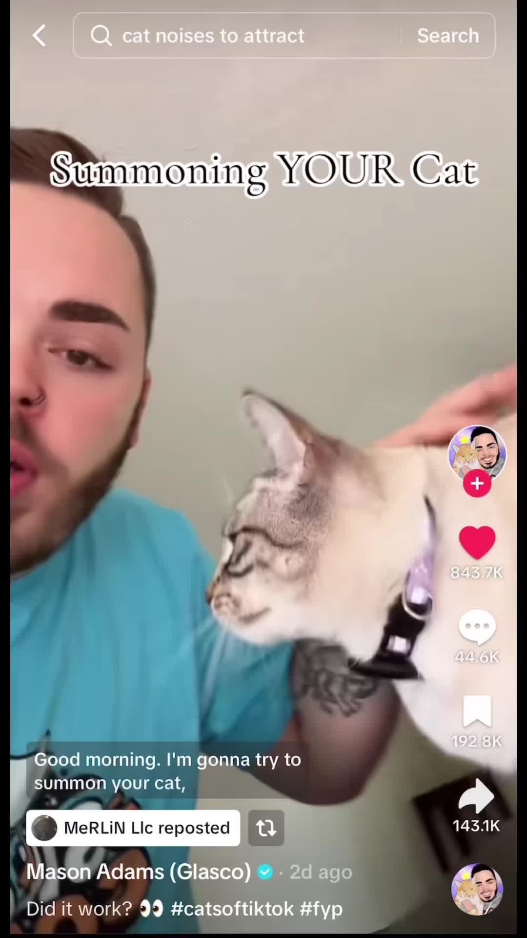 @ohkarajane 🐈