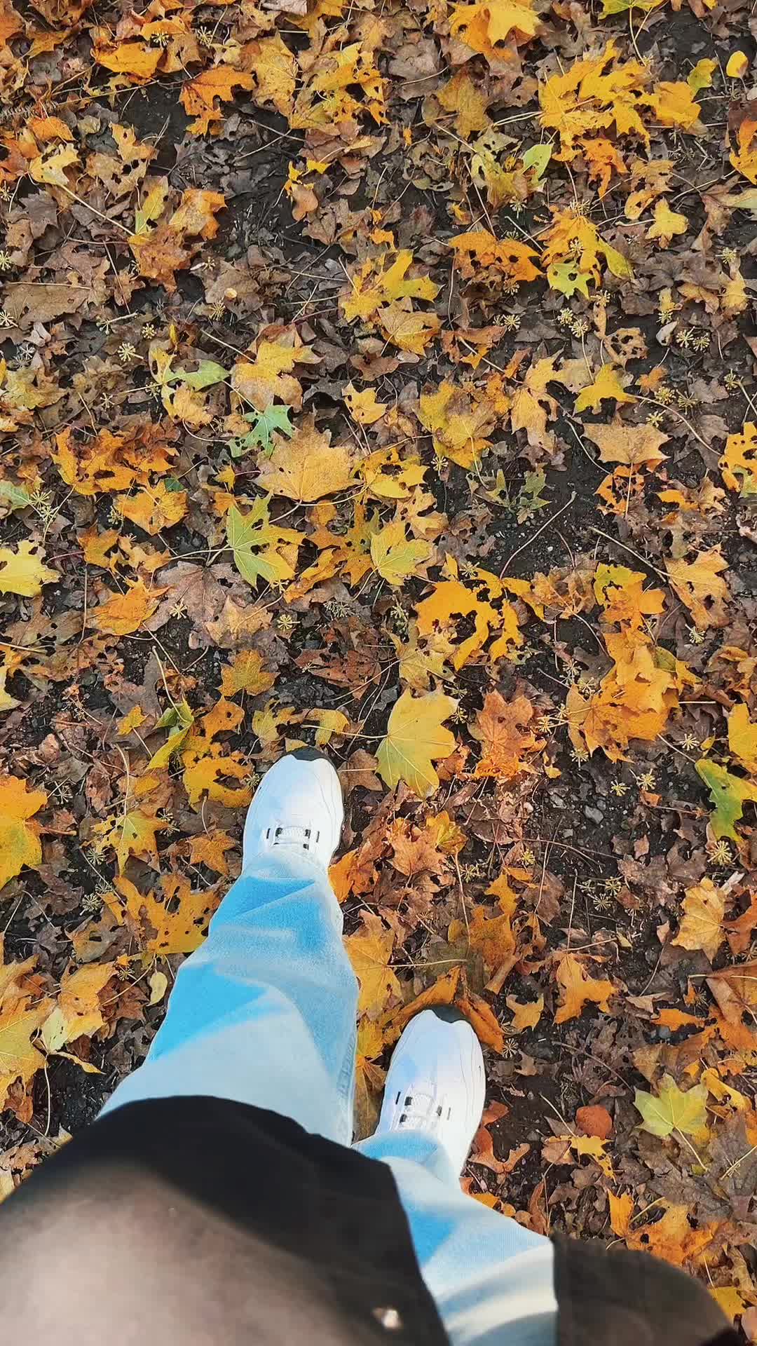 @❤︎ 𝒟𝒾𝓏𝒶༄☕︎︎