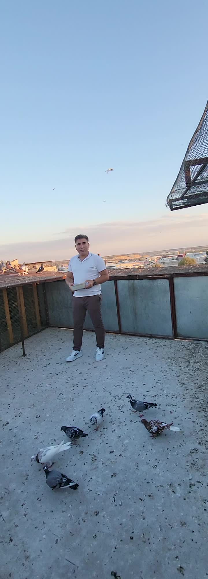 @İsvicreli Mustafa