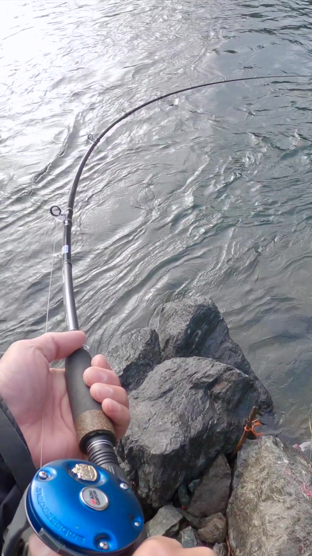 @BC Fishing Majors