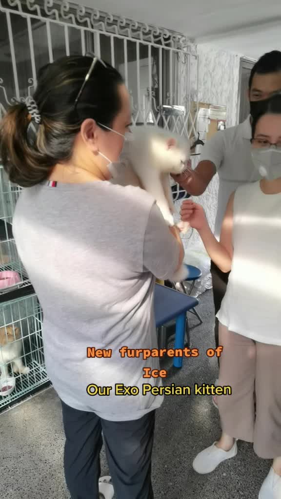 @UniqueClaw Cattery